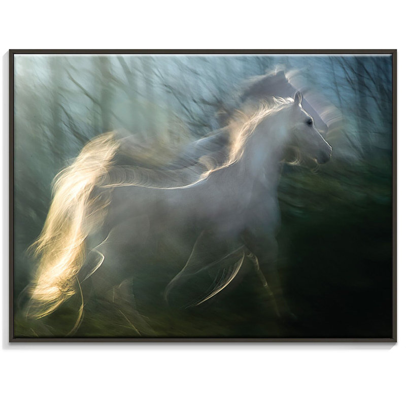 Print on Canvas, 41cm H x 51cm W, Black Floater Framed