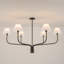 6 - Light Chandelier