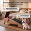 Rampe d'escalier convertible 2-en-1 pour animaux de compagnie, repose-pieds pliable moderne antidérapant-134037012