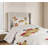 Dog Coverlet