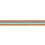 Primavera Tape Narrow-38454043