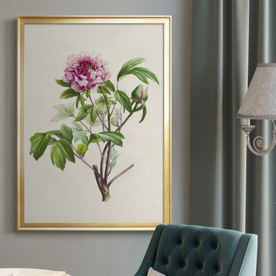 " Pretty Pink Botanicals V "