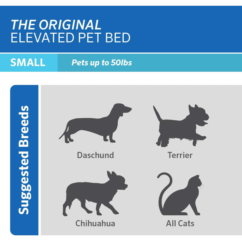 Small Brunswick Green Elevated Orthopedic Outdoor Pet Bed