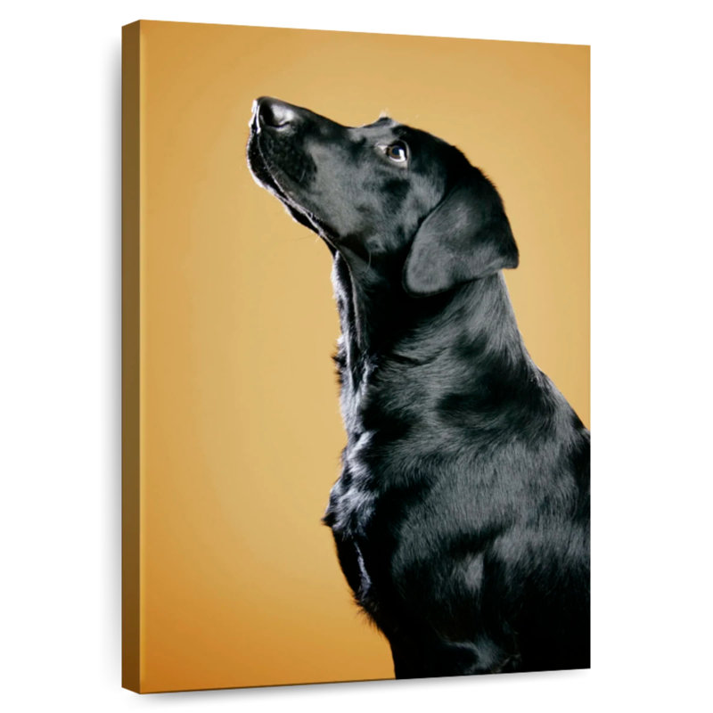 Brampt Obedient Black Dog, 12" H x 8" W