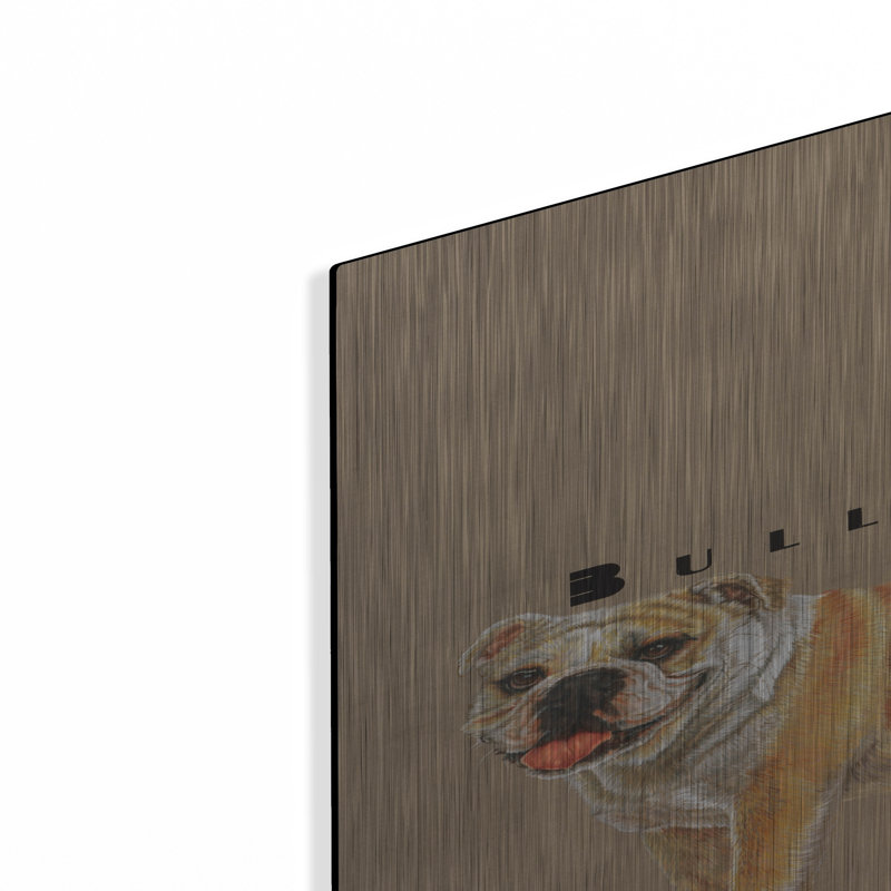 «Bulldog» par Barbara Keith, H 36 po x l 24 po