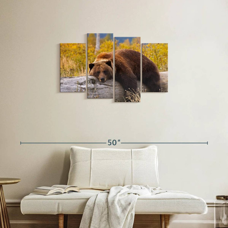 Ours grizzly au repos Brampt, H 22 po x l 36 po