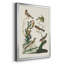 Antique Birds In Nature I, reproduction encadrée de qualité supérieure - prête à être accrochée-88261995-88261997