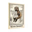 Bath & Laundry Bear Reading Newspaper On Toilet