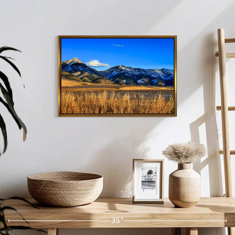 Vue panoramique des montagnes Bridger, 19 po x 13 po, Cadre flottant doré
