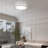 Chic Iron Bird's Nest LED Ceiling Light 5-Class Dimmble-414846306-414846236