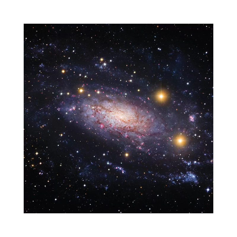 Spiral Galaxy In The Hydra Constellation (NGC 3621) by Robert Gendler - Wrapped Canvas Gallery-Wrapped Canvas Giclée