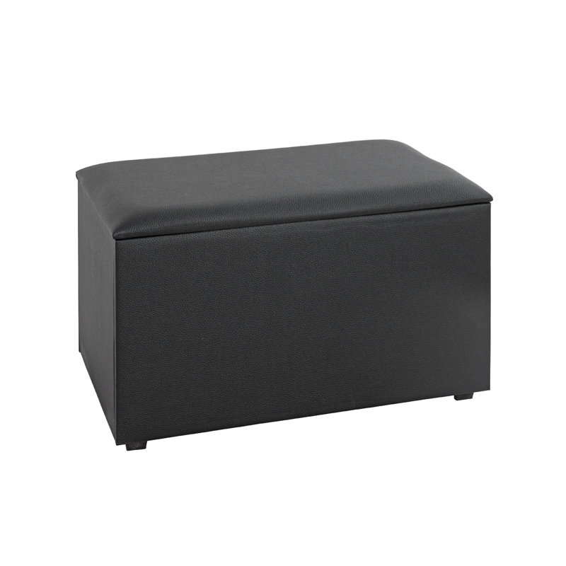 Krystof 65cm W Rectangle Footstool with Storage, Black