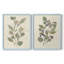 Pressed Arrangement III - Reproduction encadrée de qualité supérieure - prêt à être accroché - aucun clou requis - aucun clou requis-910221031-910221036