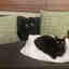 Photos des clients 2 de 2