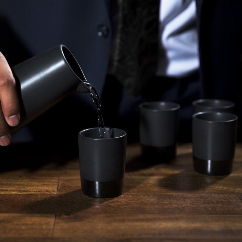Harrison 5-Piece Stoneware Sake Set in Black