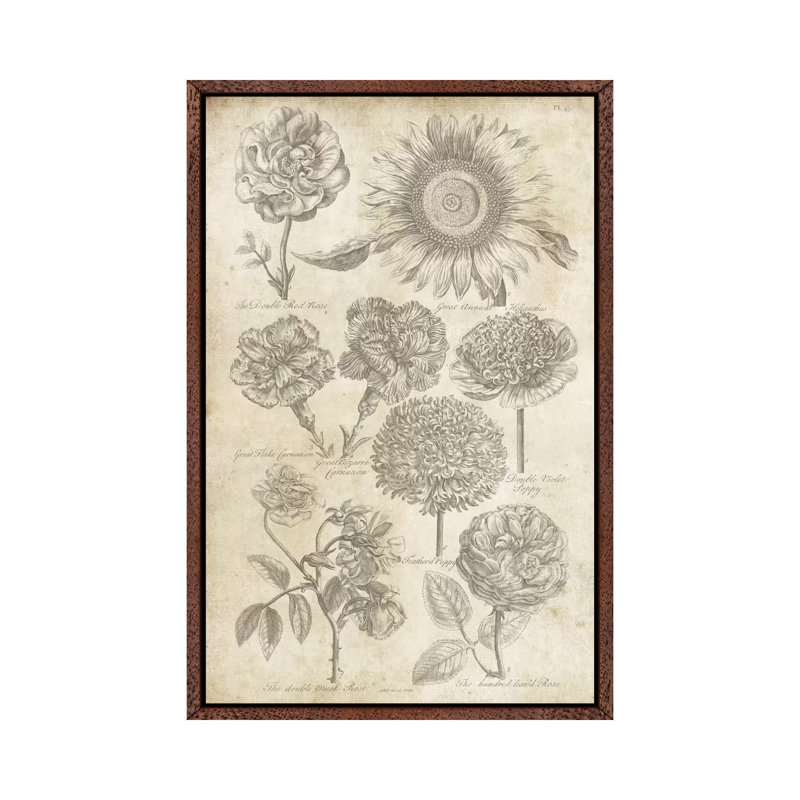 Eden Antique Bookplate II by Wild Apple Portfolio - Gallery-Wrapped Canvas Giclée on Canvas, Classic Wood Floater Frame
