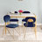 Danton 18.5'' H Velvet Upholstered Side Chair-31379899-31379898