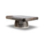 Rectangle Designer Coffee Table