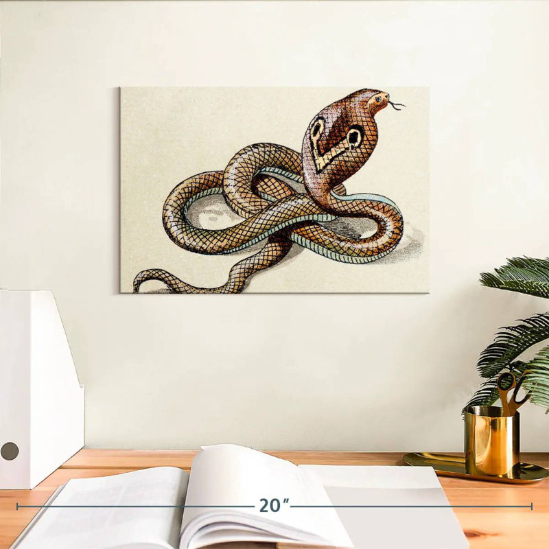 Brampt Indian Cobra, 8" H x 12" W