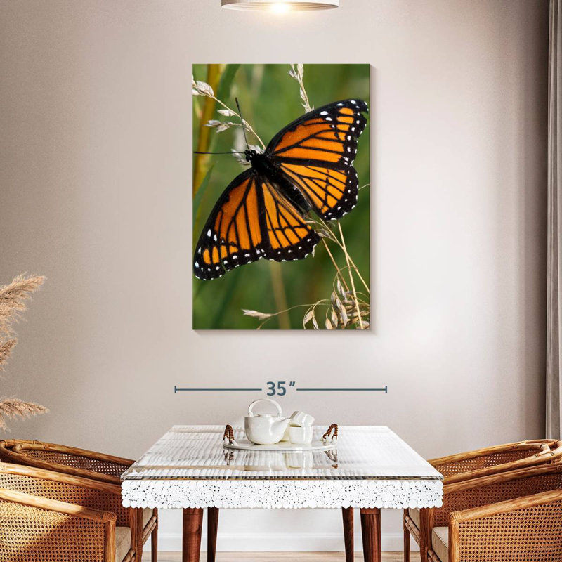 Brampt Monarch Butterfly Up Close, 45" H x 30" W