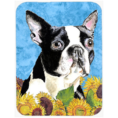 Boston Terrier and Sunflower Glass Cutting Board