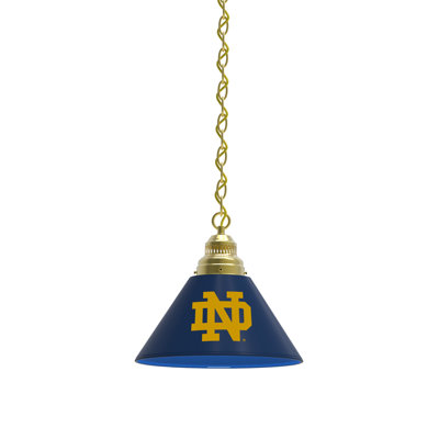 1 - Light Single Pendant