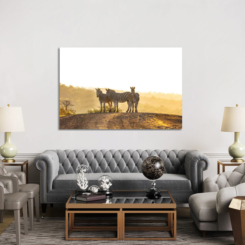 Zebras In Africa by Anders Jorulf - Wrapped Canvas Print, 152.5 cm H x 101.5 cm W