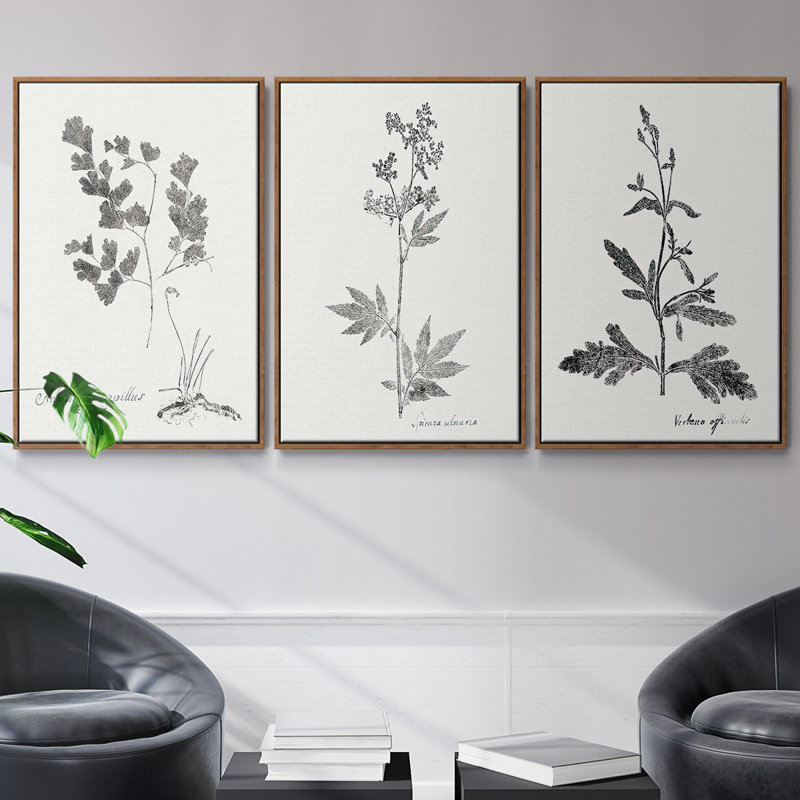 Botanical Imprint I 3 pièces, Noyer, H 27 po x l 54 po