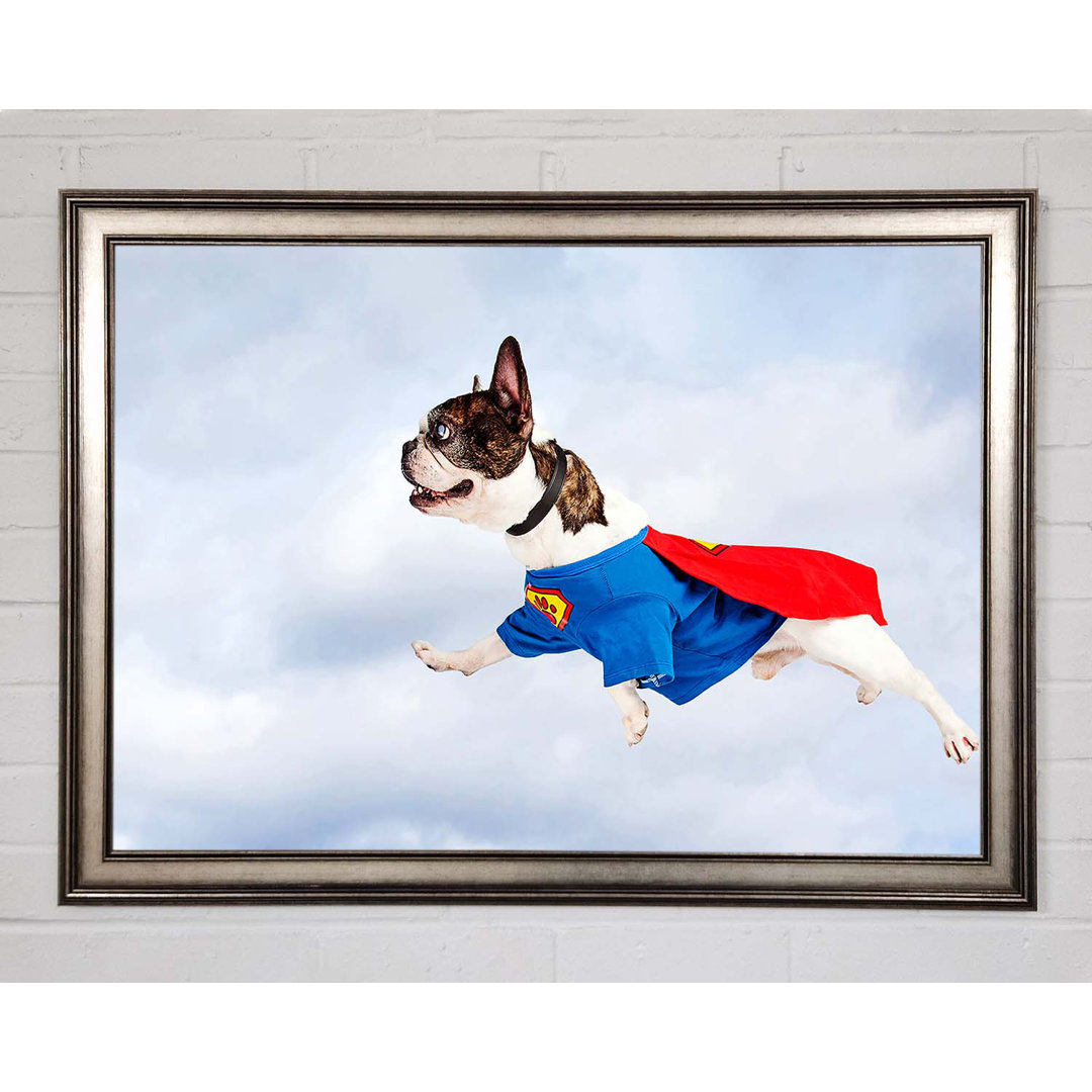 Gerahmtes Poster Super Dog Skies