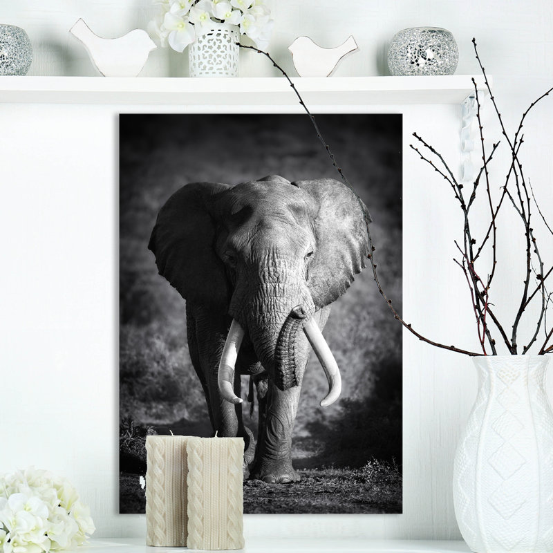« éléphant bull », reproduction d’impression sur toile tendue, H 20 po x l 12 po x P 1po