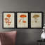 «Mushroom Variétés IV», reproduction encadrée de qualité supérieure - prête à être accrochée-1015935024-1015935030-1015887996