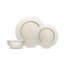 Fortessa Archie Glass, 12 Piece Dinnerware Set (Service for 4), Ginger-325618630