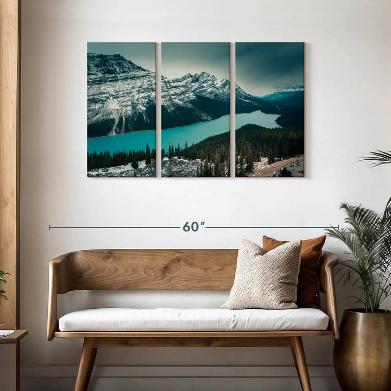 Alvord Peyto Lake, H 28 po x l 45 po