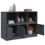Analice Steel Accent Cabinet-192843024