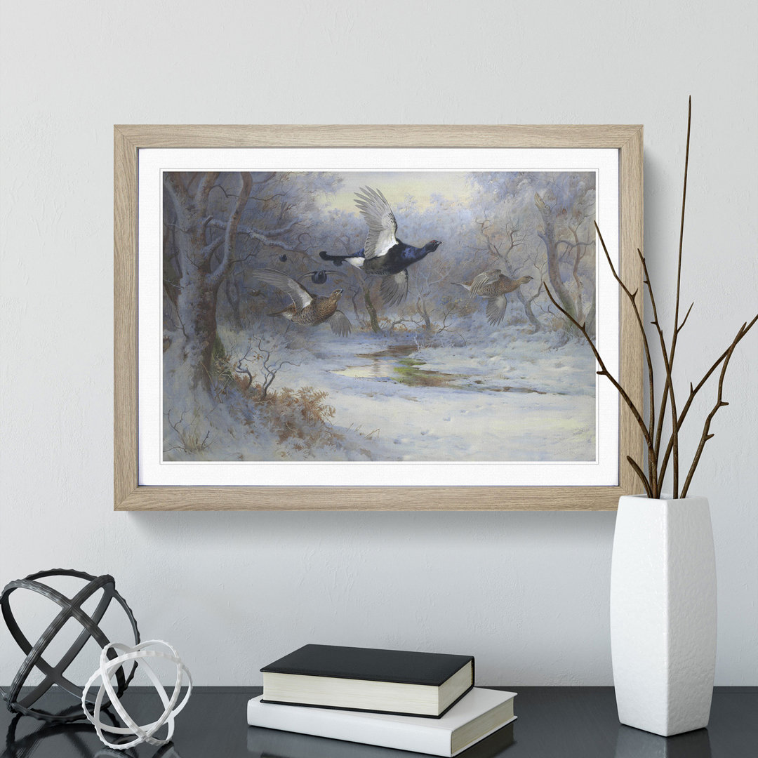 Blackcock and Grouse in Flight by Archibald Thorburn - Picture Frame Painting