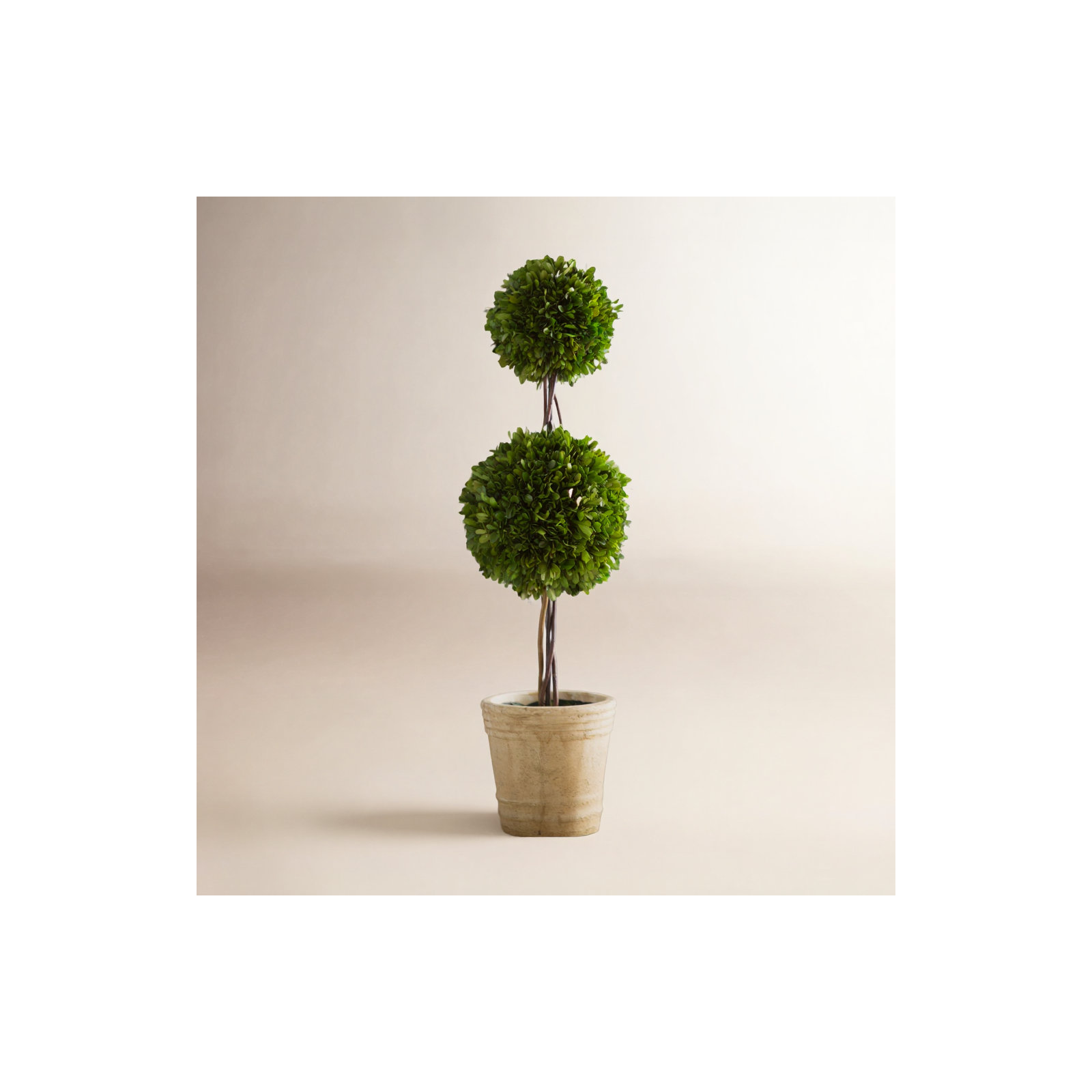 Preserved Boxwood Double Ball Topiary, 30" H