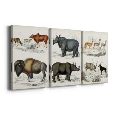 Journal of Natural Histoire VII - Toile tendue avec châssis - 3 pièces