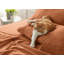 Ensemble de draps en microfibre de polyester pour literie Hotel Luxury-105311061-105311067
