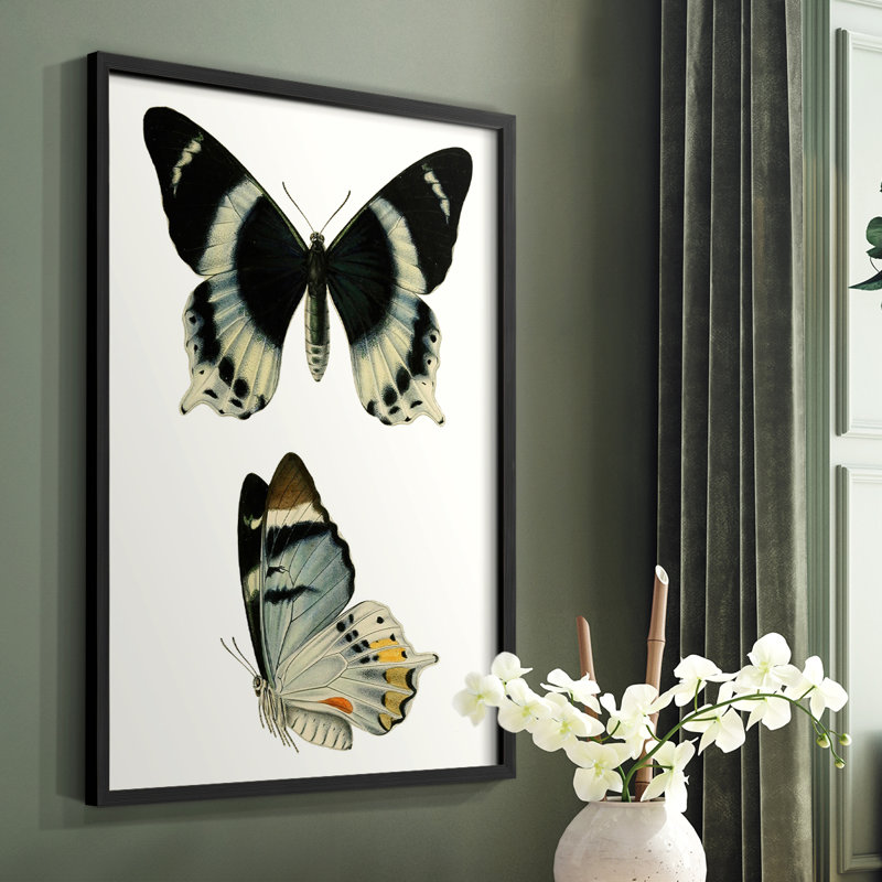 «Antique Blue Butterflies I», reproduction encadrée - bois massif, Noir, H 28 po x l 22 po