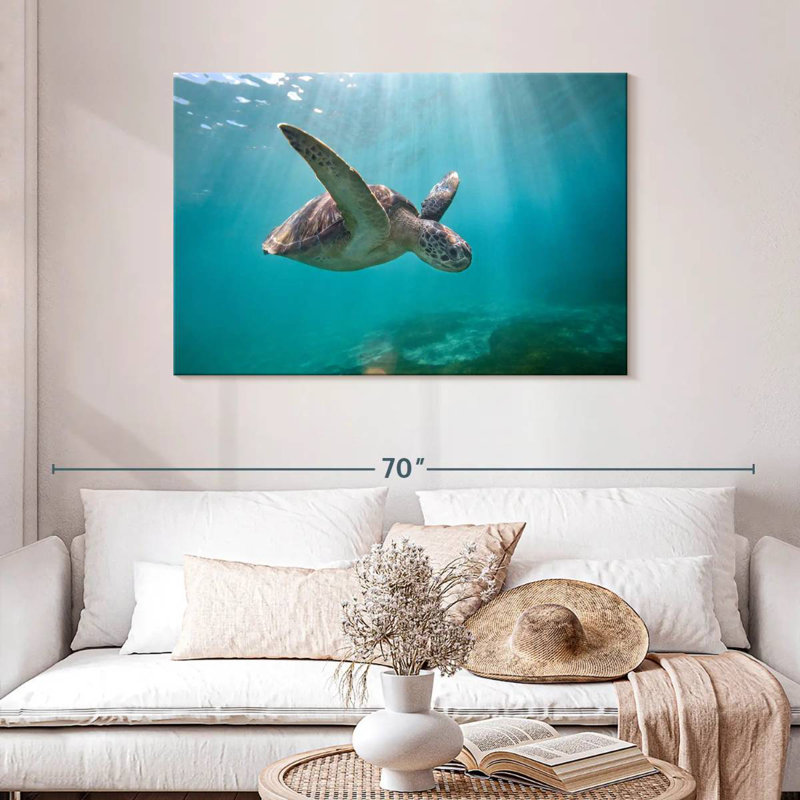 Tortue de mer Brampt Martinique