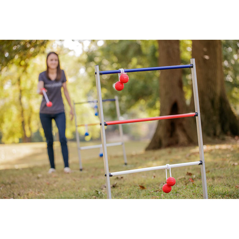 Birch Lane™ Metal Ladder Ball with Carrying Case