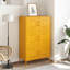 Accent Cabinet-104875288
