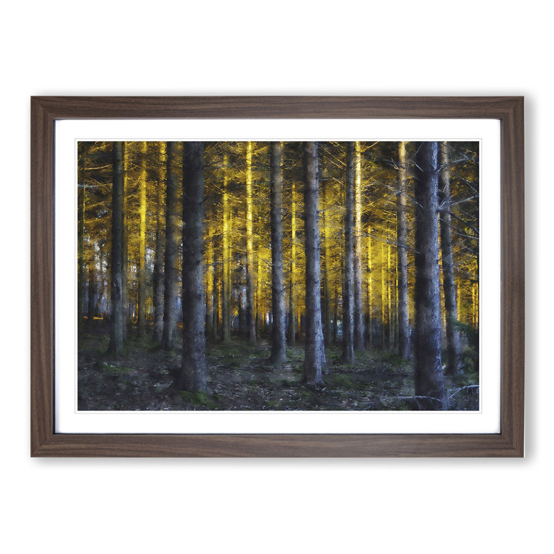 Sunlight Forest Vol.4 - Picture Frame Painting, Walnut Framed, 27cm H x 36cm W x 2cm D