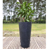 Pot à fleurs en résine Genebra