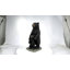 Standing Mother & Baby Black Bears-68021493