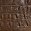 Bosley Croc Brown