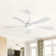 Whisper 52" 5 ABS Blade Propeller Classic Ceiling Fan with LED Lights and Remote Control