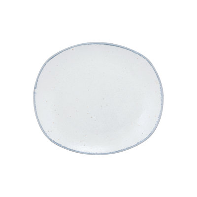 Arctic 10.5" Rectangular Dinner Plate