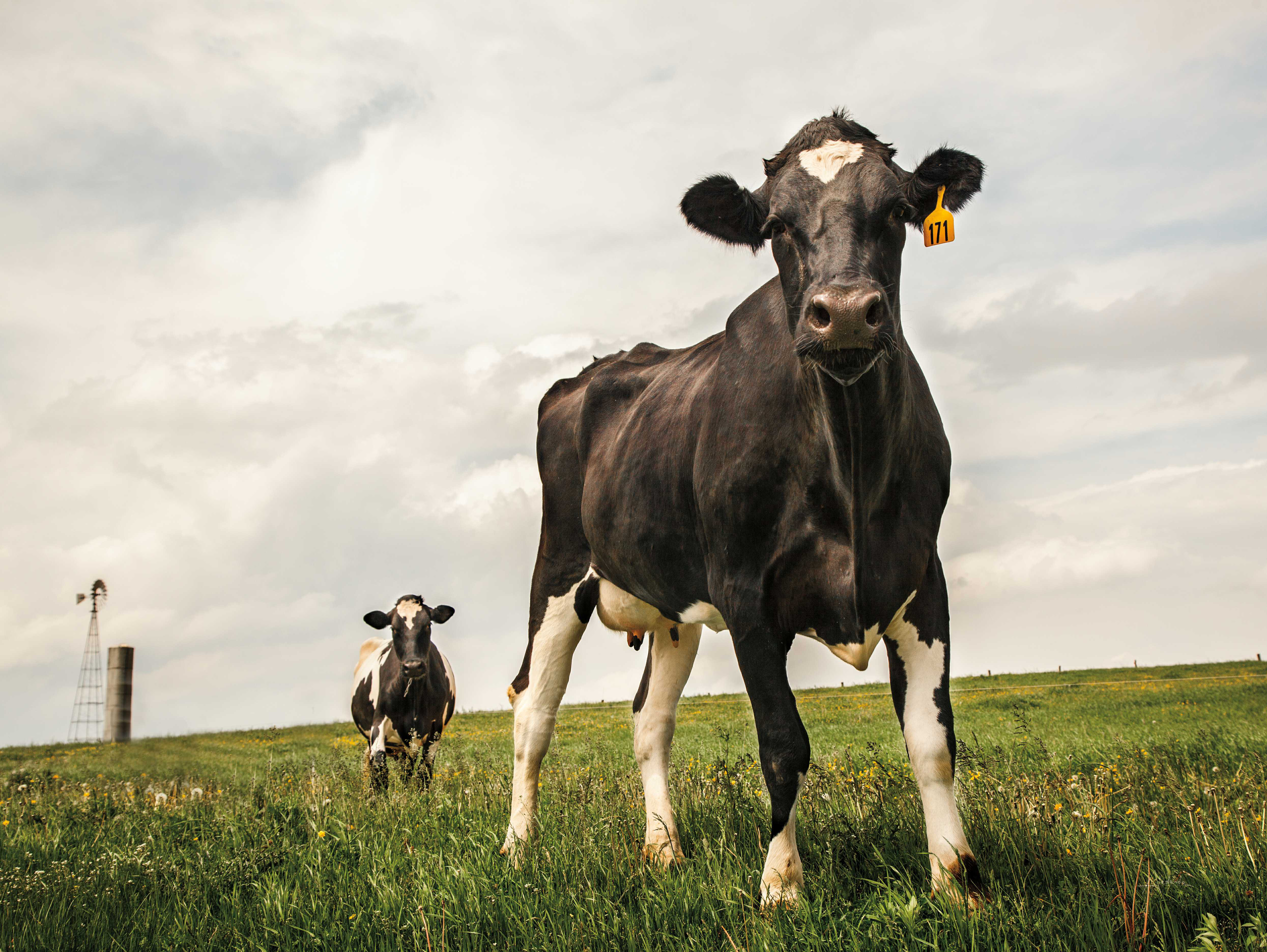 Gracie Oaks Waiting Color - Print on Canvas | Wayfair