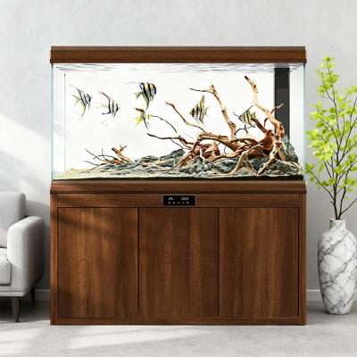 Aquarium de style nordique en verre Arowana